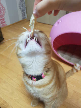 노랑콩님이 올린 리뷰 사진 3