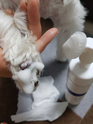 나란여자🤦‍♀️🤷‍♀️💁‍♀️님이 올린 리뷰 사진 1