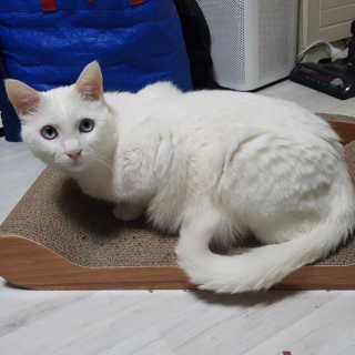 적구님이 올린 리뷰 사진 1