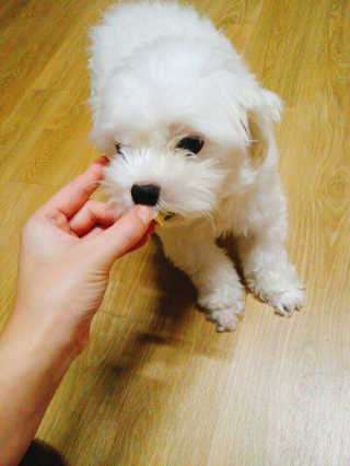 조주열님이 올린 리뷰 사진 2