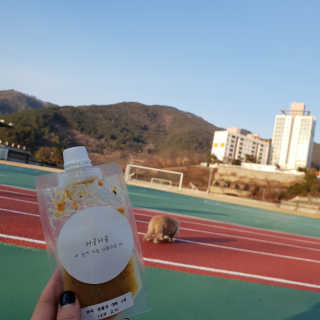 [어글어글] 반려견 친환경 간식 9종 세트 — 5점을 준 리뷰어가 2020년 1월 올린 사용 사진