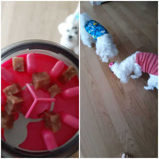 꿍님이 올린 리뷰 사진 4