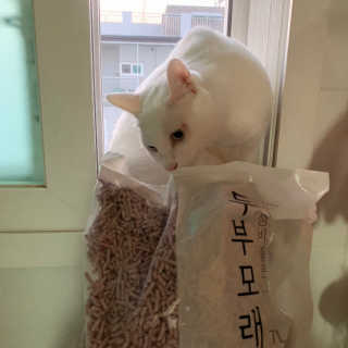 EX님이 올린 리뷰 사진 2
