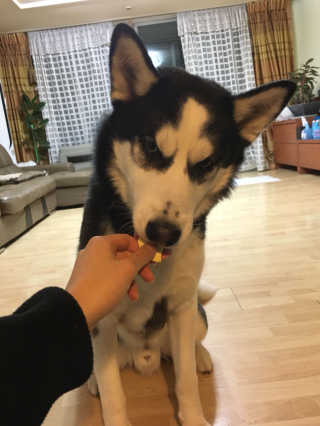 SoominChung님이 올린 리뷰 사진 1