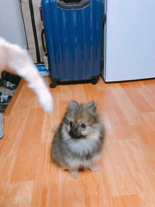 SeungAhShin님이 올린 리뷰 사진 3
