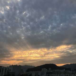 횬딘횬딘님이 올린 리뷰 사진 1
