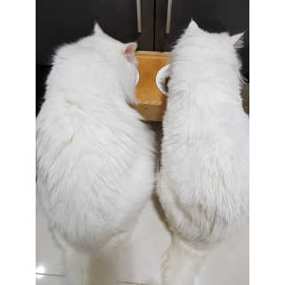 으하하하하님이 올린 리뷰 사진 1