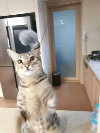 영님이 올린 리뷰 사진 1