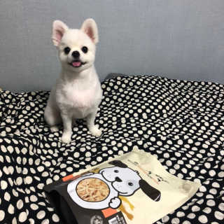 [펫토리아] 맛도 영양도 BEST 한끼뚝딱 강아지 사료 — 5점을 준 리뷰어가 2018년 12월 올린 사용 사진