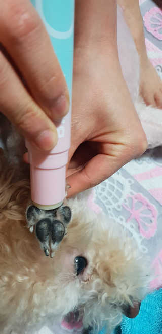 서주나님이 올린 리뷰 사진 1