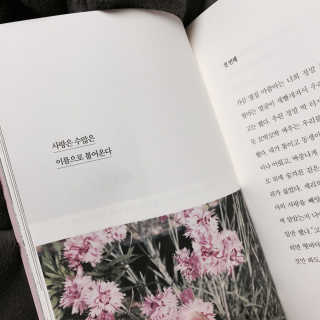 최소희님이 올린 리뷰 사진 4