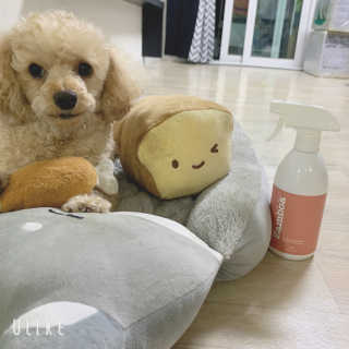 규리님이 올린 리뷰 사진 1