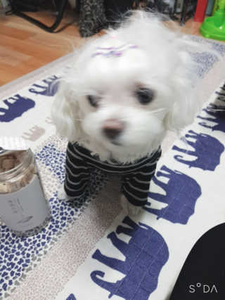 두부님이 올린 리뷰 사진 3