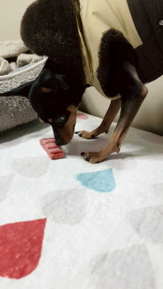 도도님이 올린 리뷰 사진 2