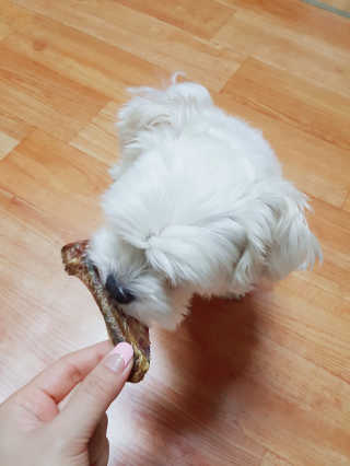 김진희님이 올린 리뷰 사진 4