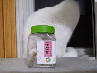 야키소바빵님이 올린 리뷰 사진 1