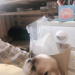수빈님이 올린 리뷰 사진 3