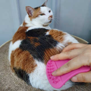 제니언니님이 올린 리뷰 사진 2