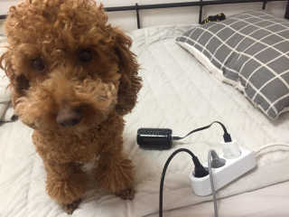 웅디찌님이 올린 리뷰 사진 2