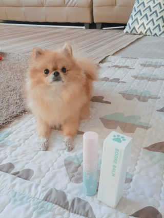 🌷 킴블리 🌷님이 올린 리뷰 사진 1