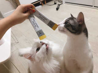 앨토리님이 올린 리뷰 사진 2