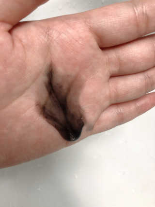 the naked object [탈모볼륨샴푸] 디블랙 팩 샴푸 — 5점을 준 리뷰어가 2019년 12월 올린 사용 사진