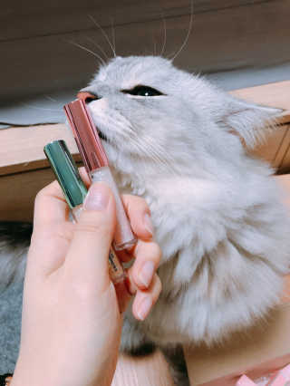 mushroombyjj님이 올린 리뷰 사진 3