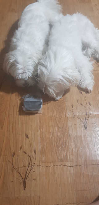 공팔리터님이 올린 리뷰 사진 2
