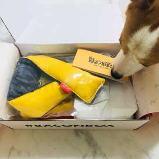이소현님이 올린 리뷰 사진 2
