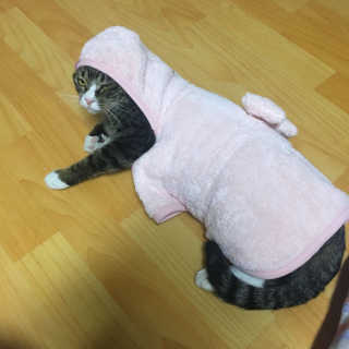 오홍그님이 올린 리뷰 사진 1