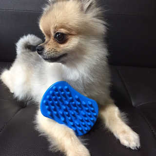 Ariel님이 올린 리뷰 사진 1