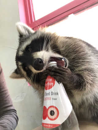 율ʕ•ᴥ•ʔ님이 올린 리뷰 사진 1