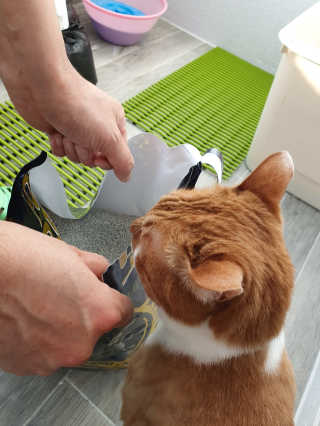 Jaehoon.y님이 올린 리뷰 사진 4