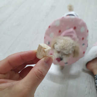 펫프렌즈 [단백질풍부] 無첨가 닭가슴살 100퍼센트 촉촉트릿 치킨 — 4점을 준 리뷰어가 2020년 1월 올린 사용 사진