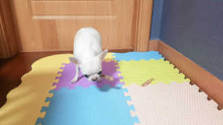 이선영님이 올린 리뷰 사진 1