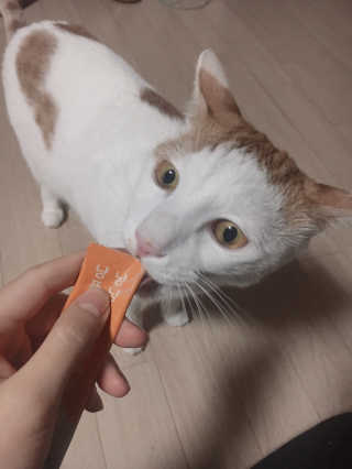 yooon❤️님이 올린 리뷰 사진 3