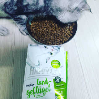 이째님이 올린 리뷰 사진 3