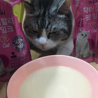 닥터할리펫밀크 8종 — 4.83점을 준 리뷰어가 2018년 11월 올린 사용 사진