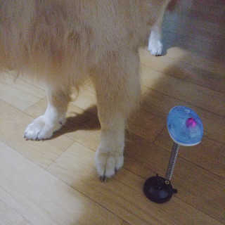 아보카도올리브님이 올린 리뷰 사진 1