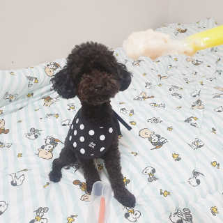 [베이비앤아이] 이유식 실리콘 스푼 — 5점을 준 리뷰어가 2019년 8월 올린 사용 사진