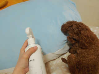 [펫토리아] 뚝딱케어 강아지 고양이 다목적세정제 — 5점을 준 리뷰어가 2020년 2월 올린 사용 사진