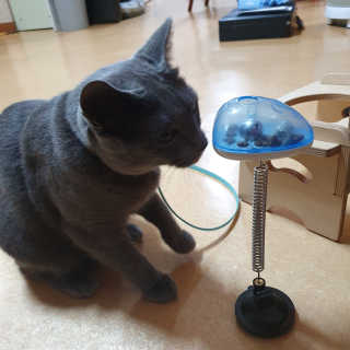 율집사님이 올린 리뷰 사진 2