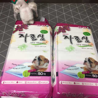 당근님이 올린 리뷰 사진 1
