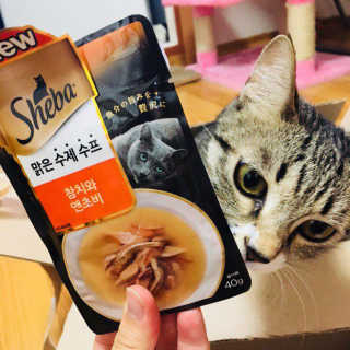 뚜혀니님이 올린 리뷰 사진 4
