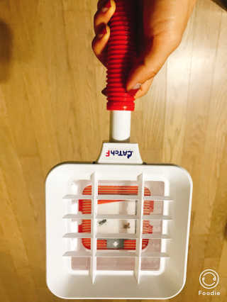 민댕댕이님이 올린 리뷰 사진 2