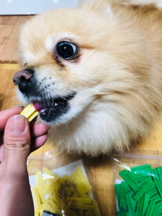 [펫토리아] BEST 한입뚝딱 실속형 강아지 덴탈껌 — 4점을 준 리뷰어가 2019년 2월 올린 사용 사진
