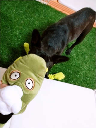 쩡님이 올린 리뷰 사진 3