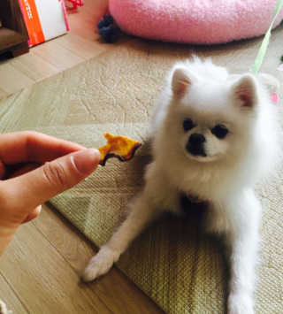 손한솔님이 올린 리뷰 사진 2