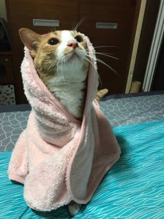 하린님이 올린 리뷰 사진 2