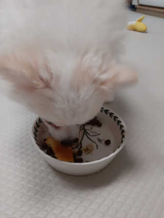 부산댁님이 올린 리뷰 사진 4